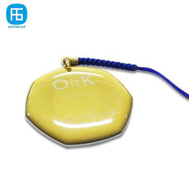nfc key fob(001)